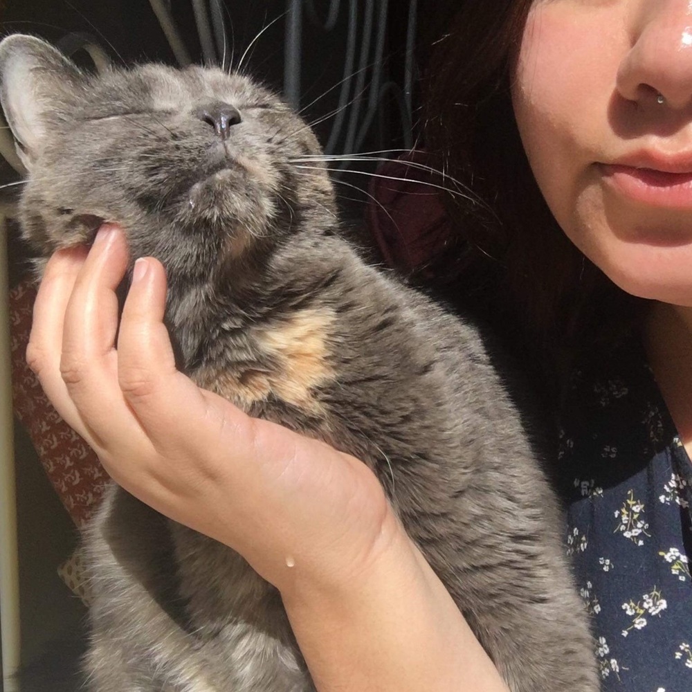 Meet your Posher, Kayla